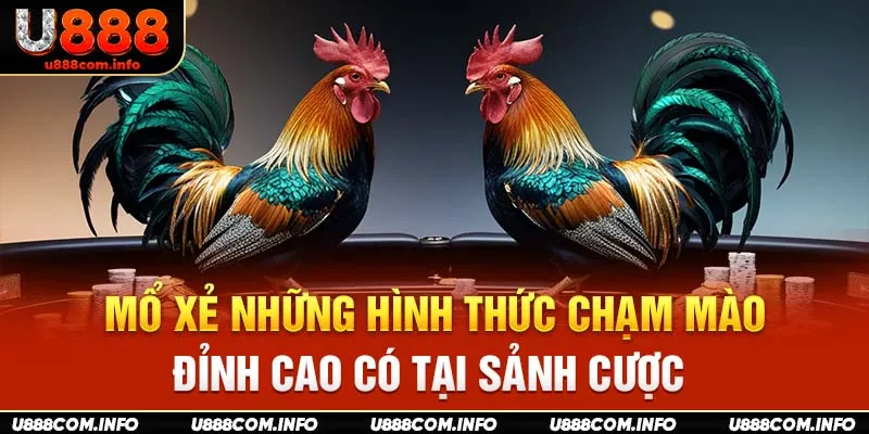 Mổ xẻ những hình thức chạm mào đỉnh cao có tại sảnh cược
